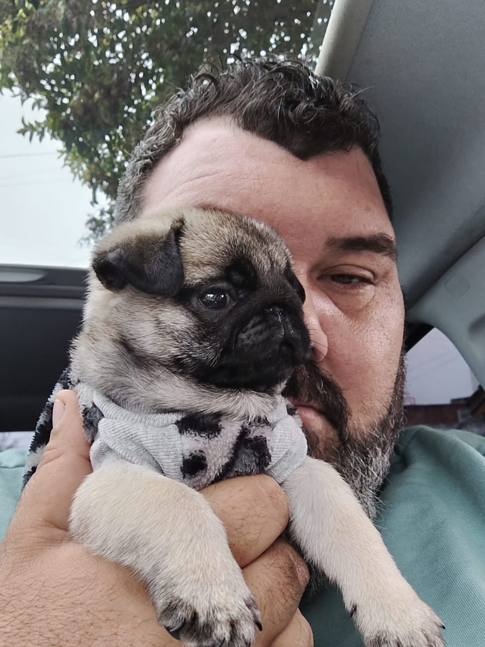 Canes - Astarté (2)