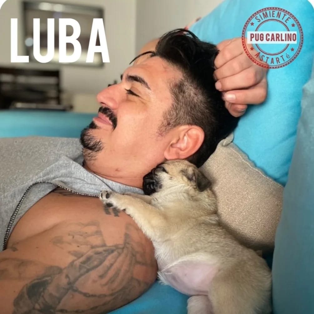 Familias - Astarté (11)