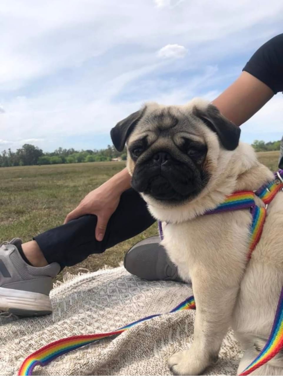 WhatsApp Image 2025-12-02 at 11.55.48 (1)