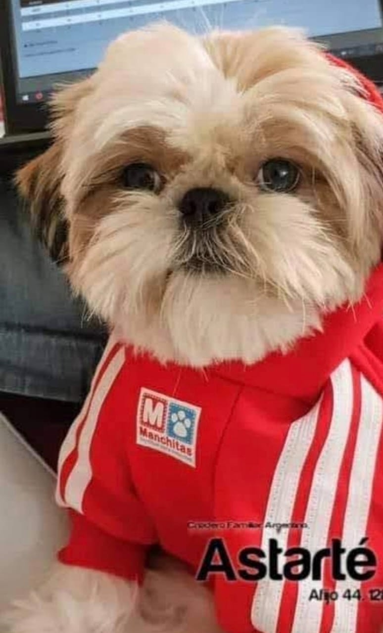 WhatsApp Image 2025-12-02 at 11.55.48