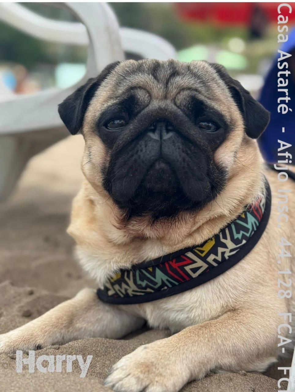 WhatsApp Image 2025-12-02 at 11.55.49 (1)