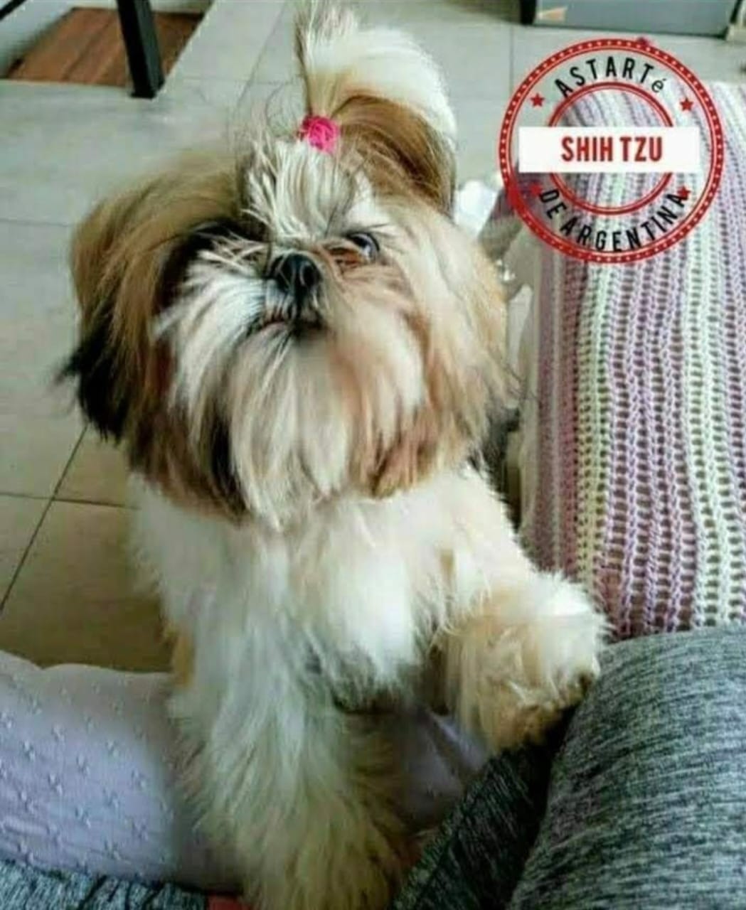 WhatsApp Image 2025-12-02 at 11.55.49