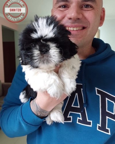 Familias - Astarté (13)