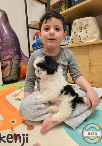 Familias - Astarté (46)